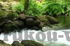 mk体育网站-MK体育网站，拓宽体育资讯视野的桥梁